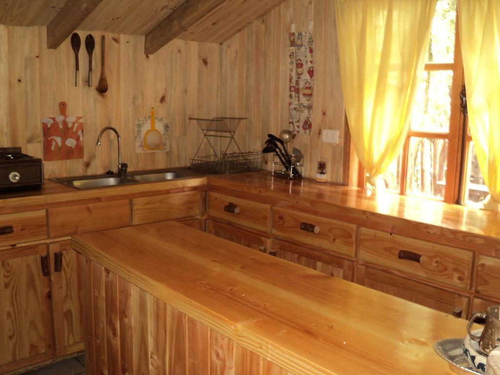 Cabana Rustica Patagonia Chilena Coñaripe Zimmer foto